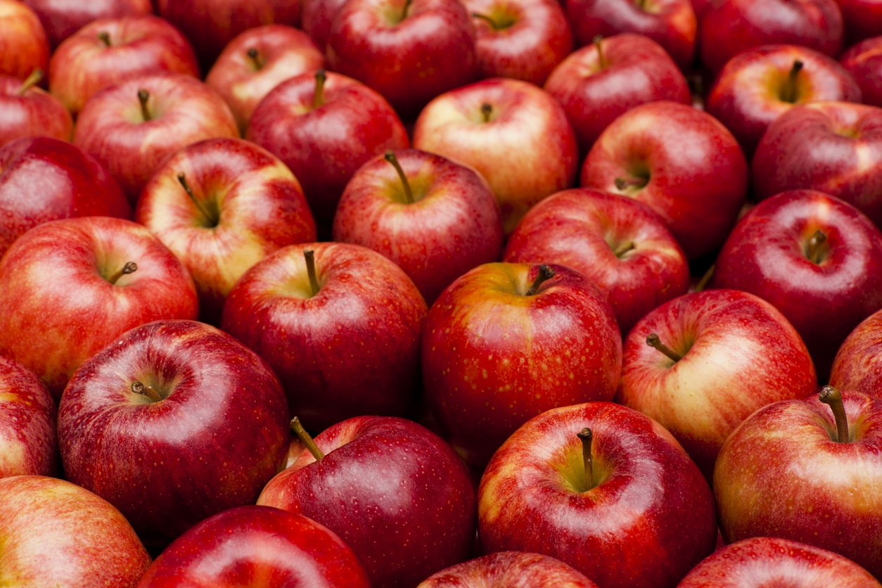 Close-up of red royal gala apples