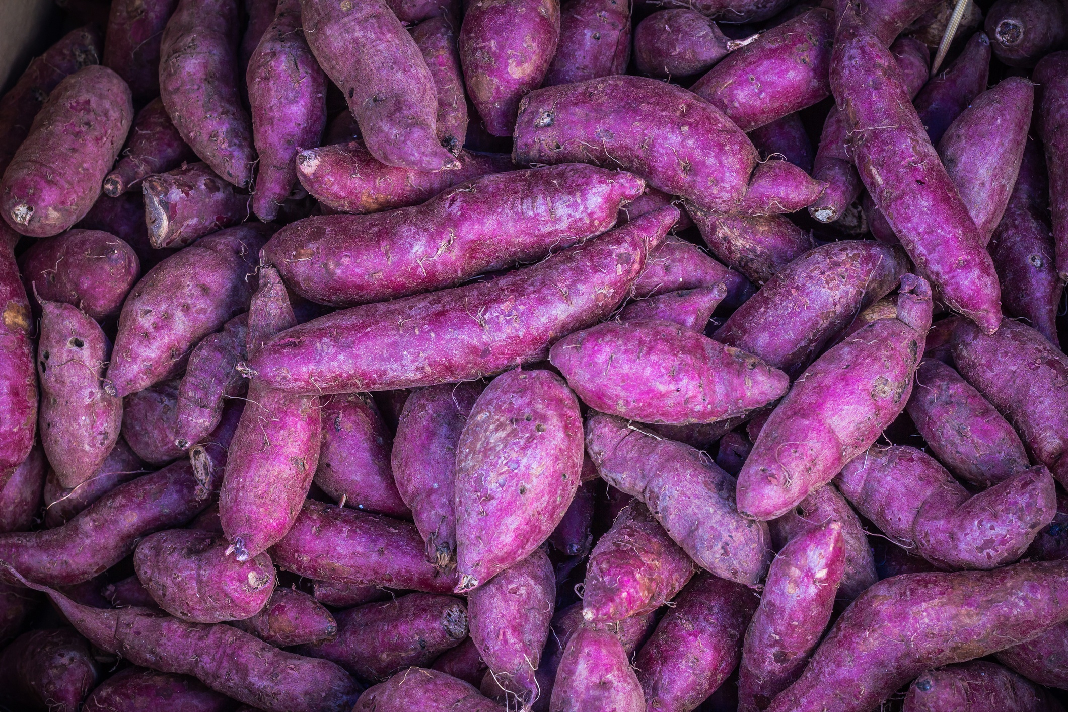 Purple sweet potatoes