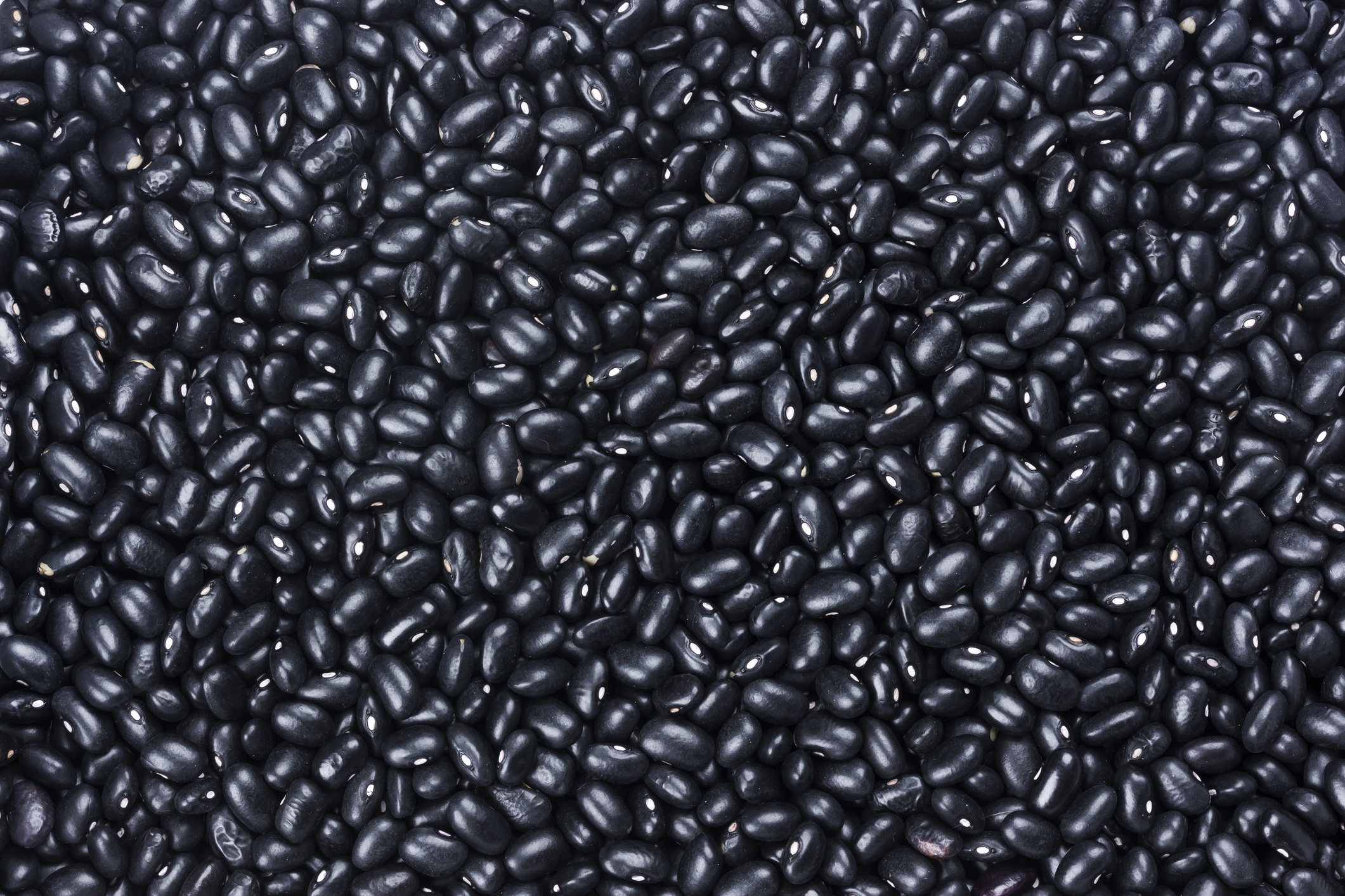 Black kidney beans