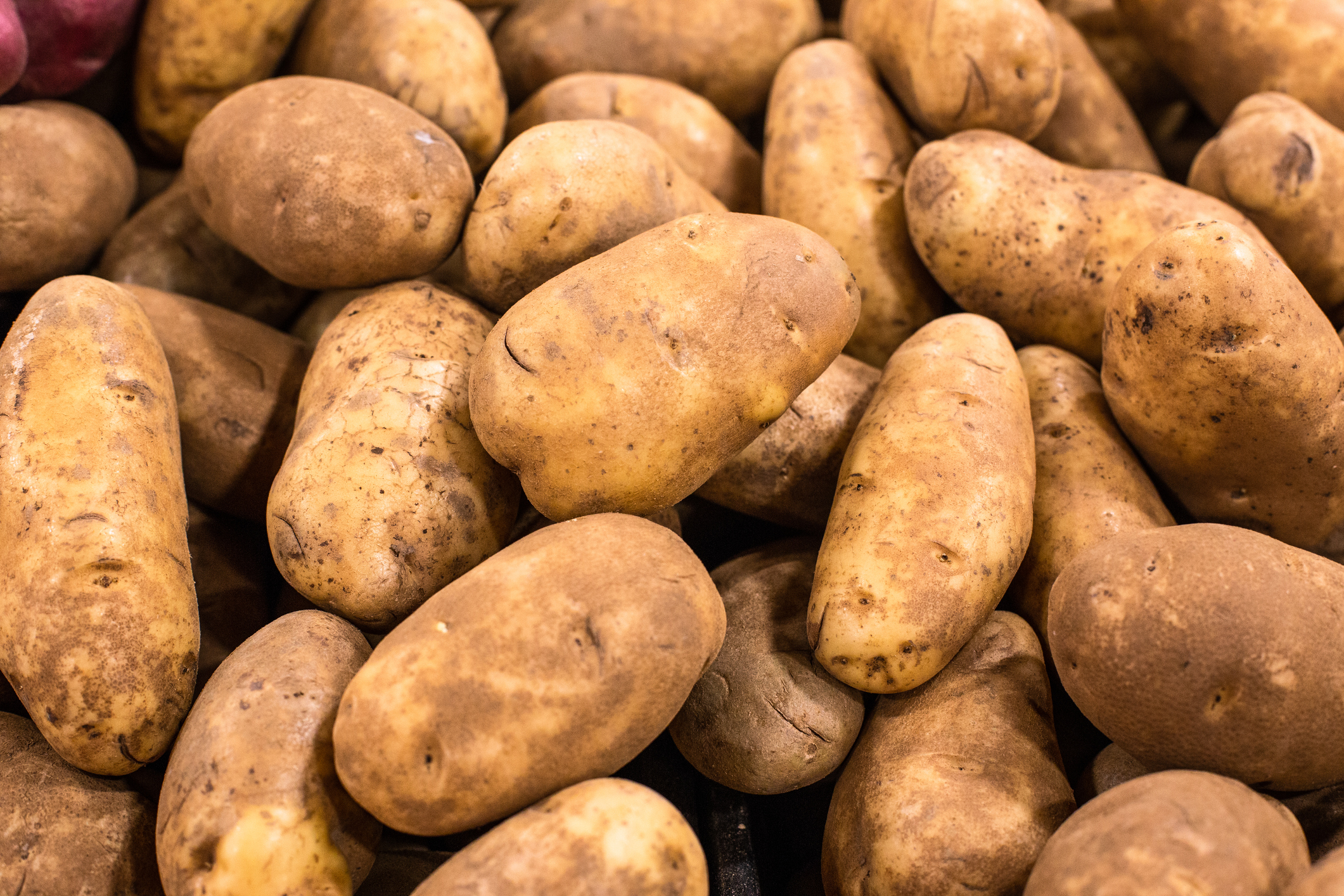 Heap of raw white potatoes in grocery bin