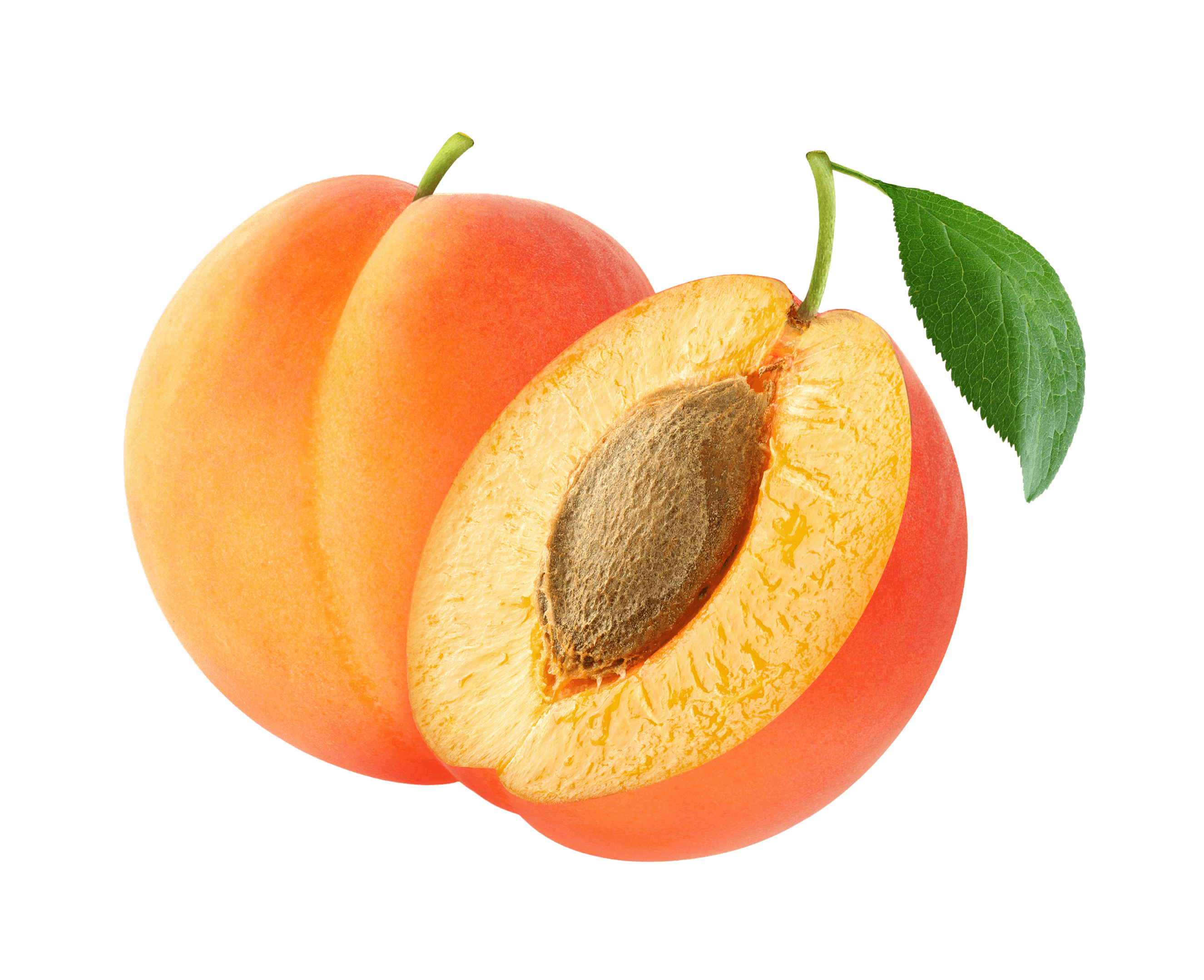 Apricot