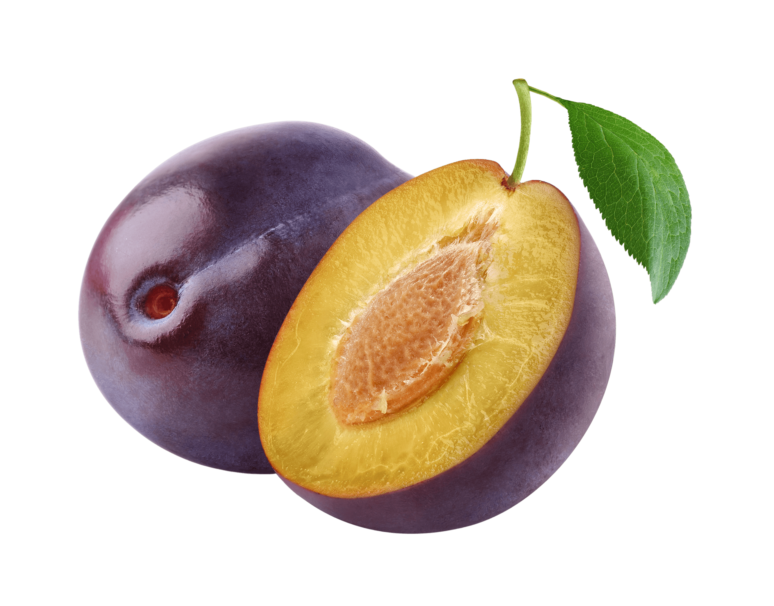 Plum