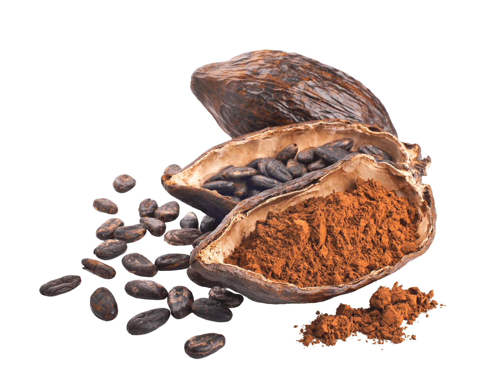 Cocoa Beans