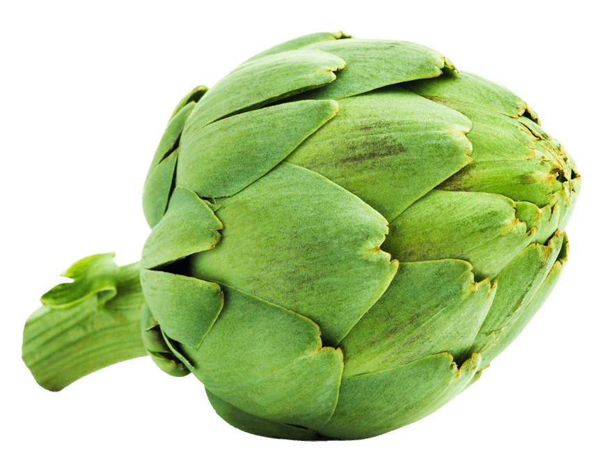 Artichoke