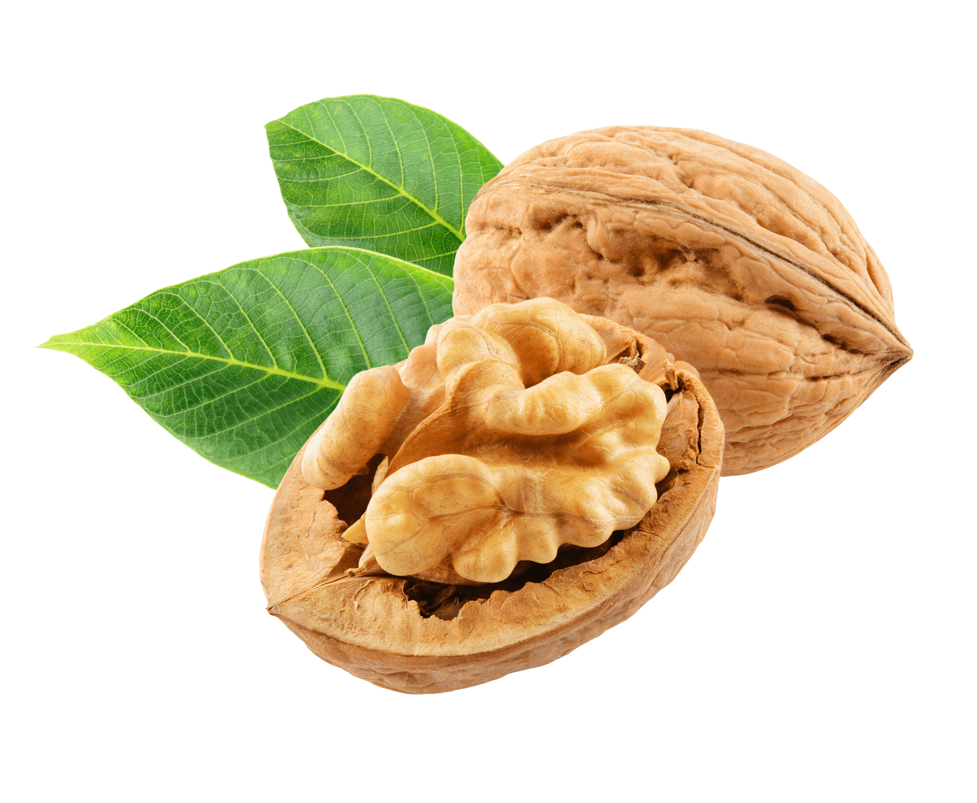 Walnuts