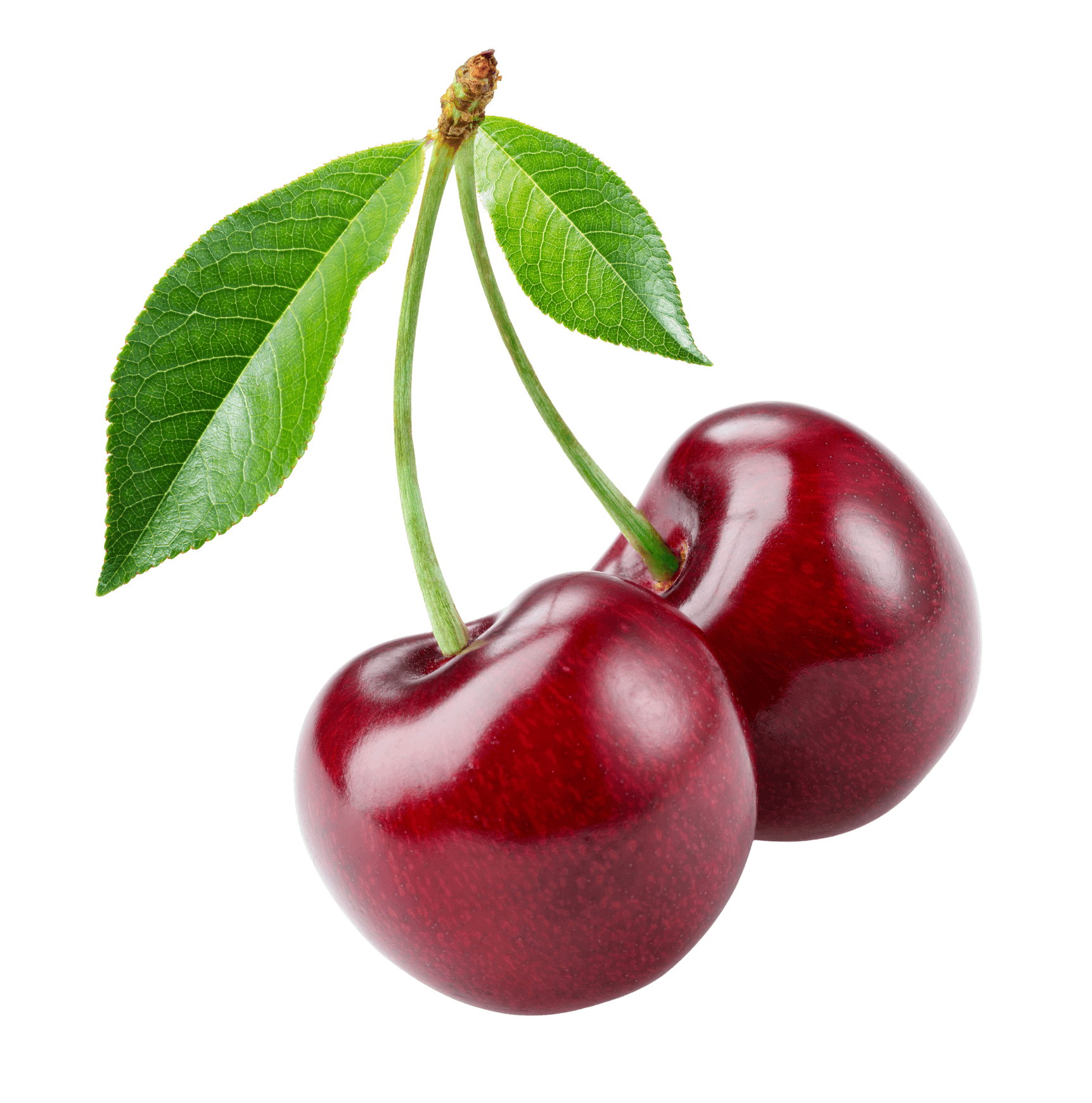 cherry