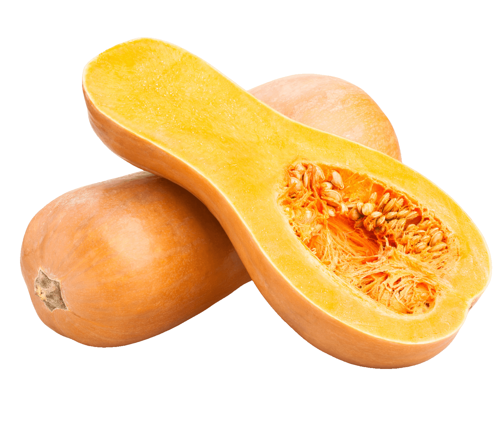 Squash