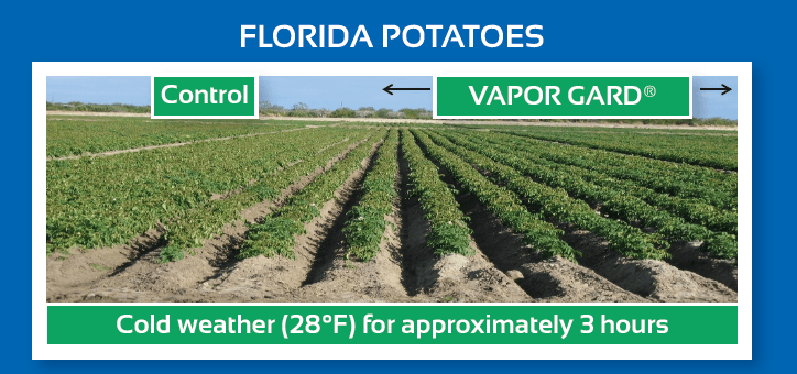 Vapor Gard Potatoes