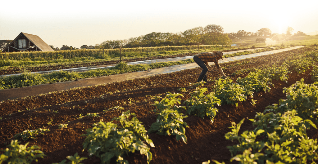 farmer working