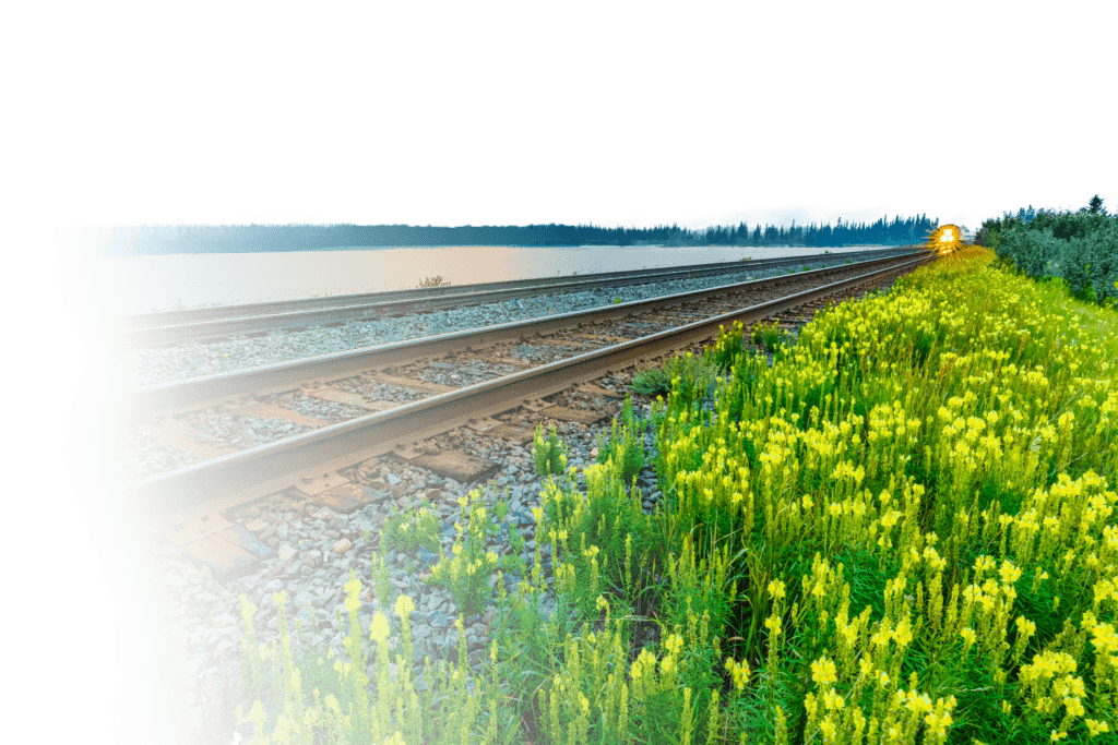 Railroad tracks with a landscape