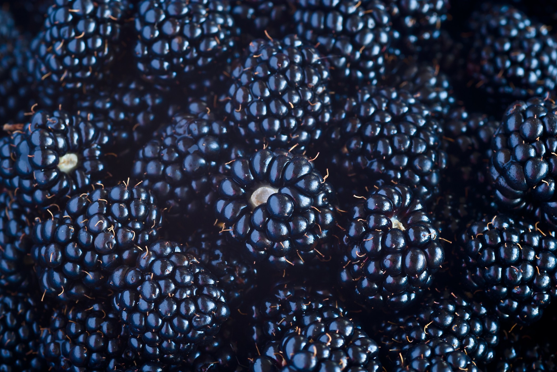 Blackberries