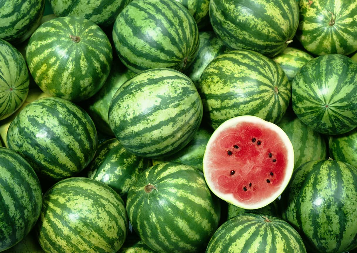 Watermelon background