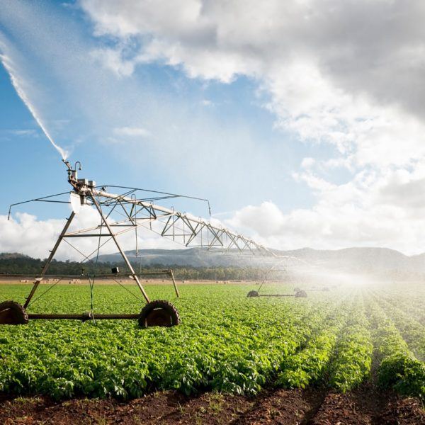 crop irrigation