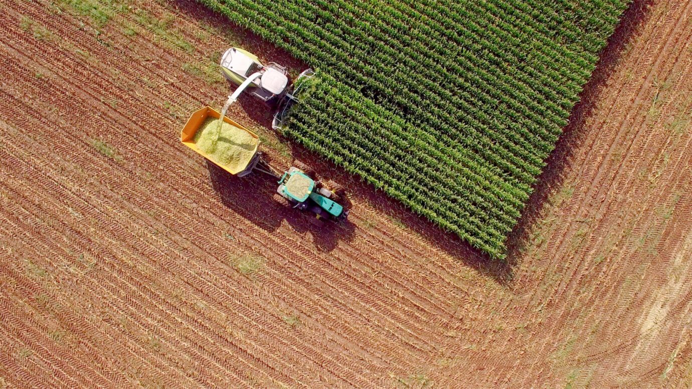 Harvesting crops