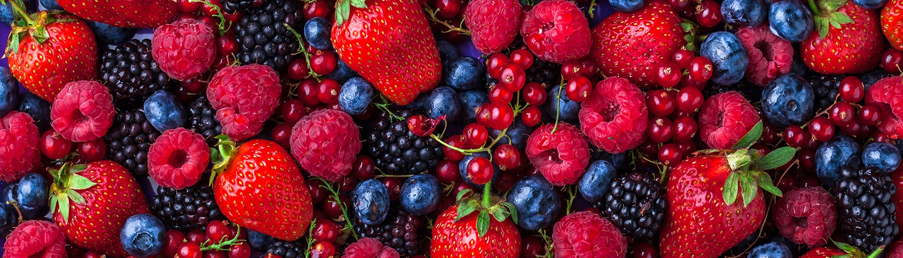 berry crops