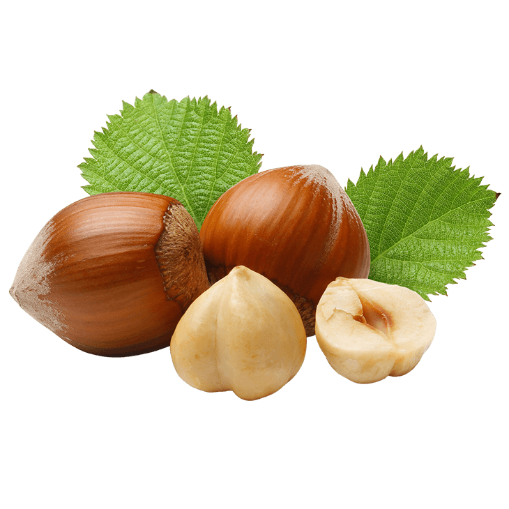 hazelnuts