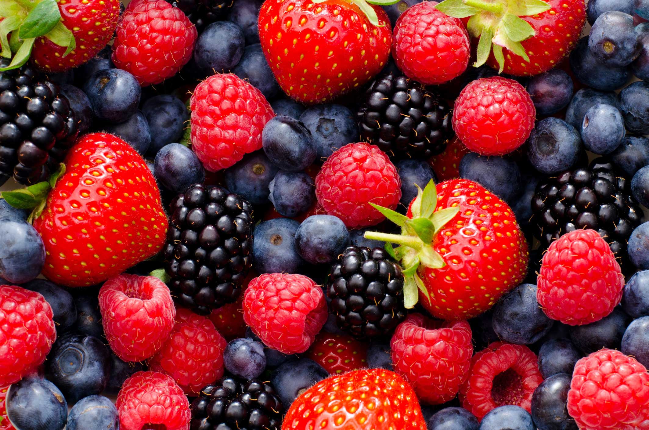 Miller Chemical strawberries, blackberries, and blueberries fertilizer products