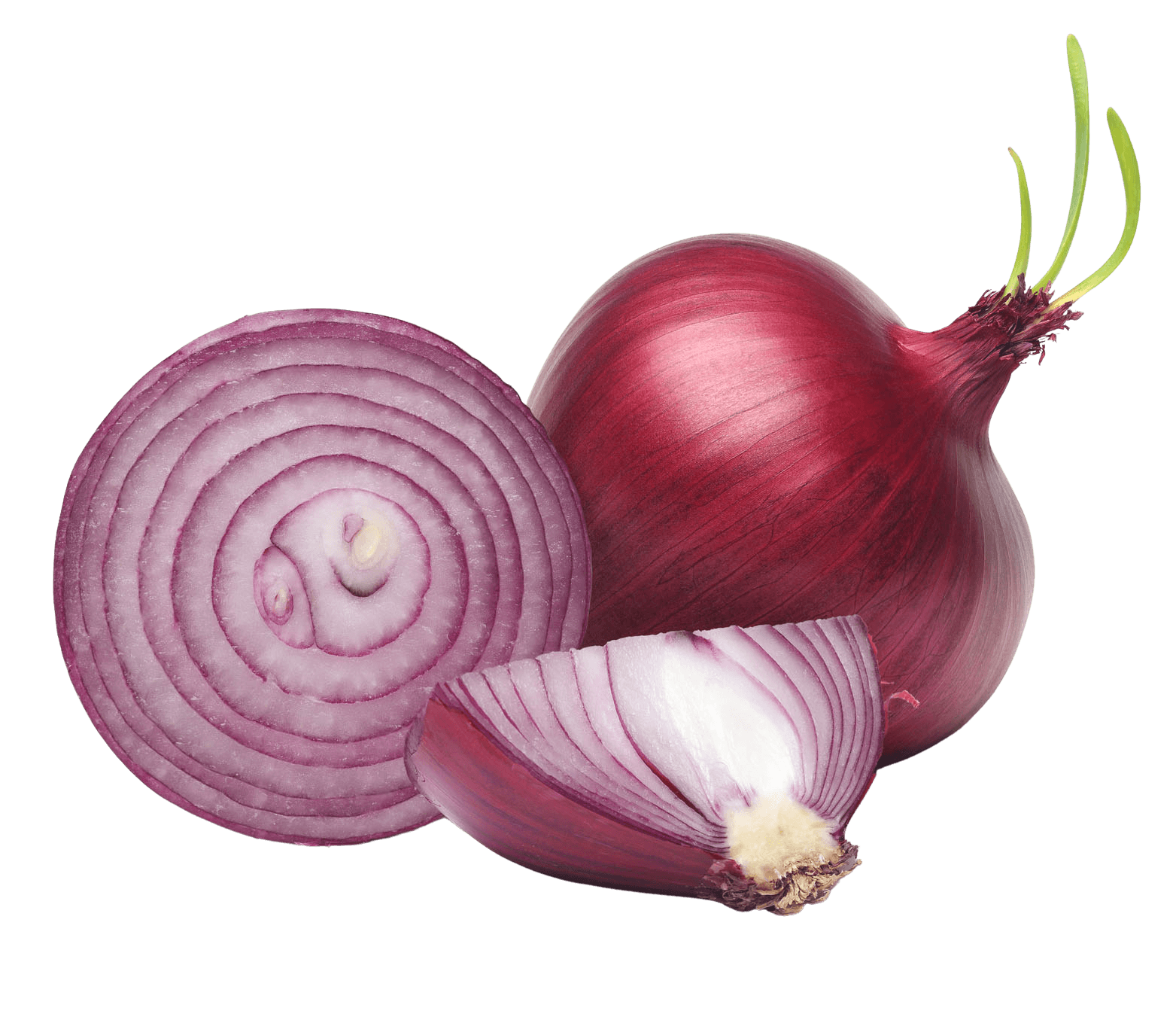Cp Onion