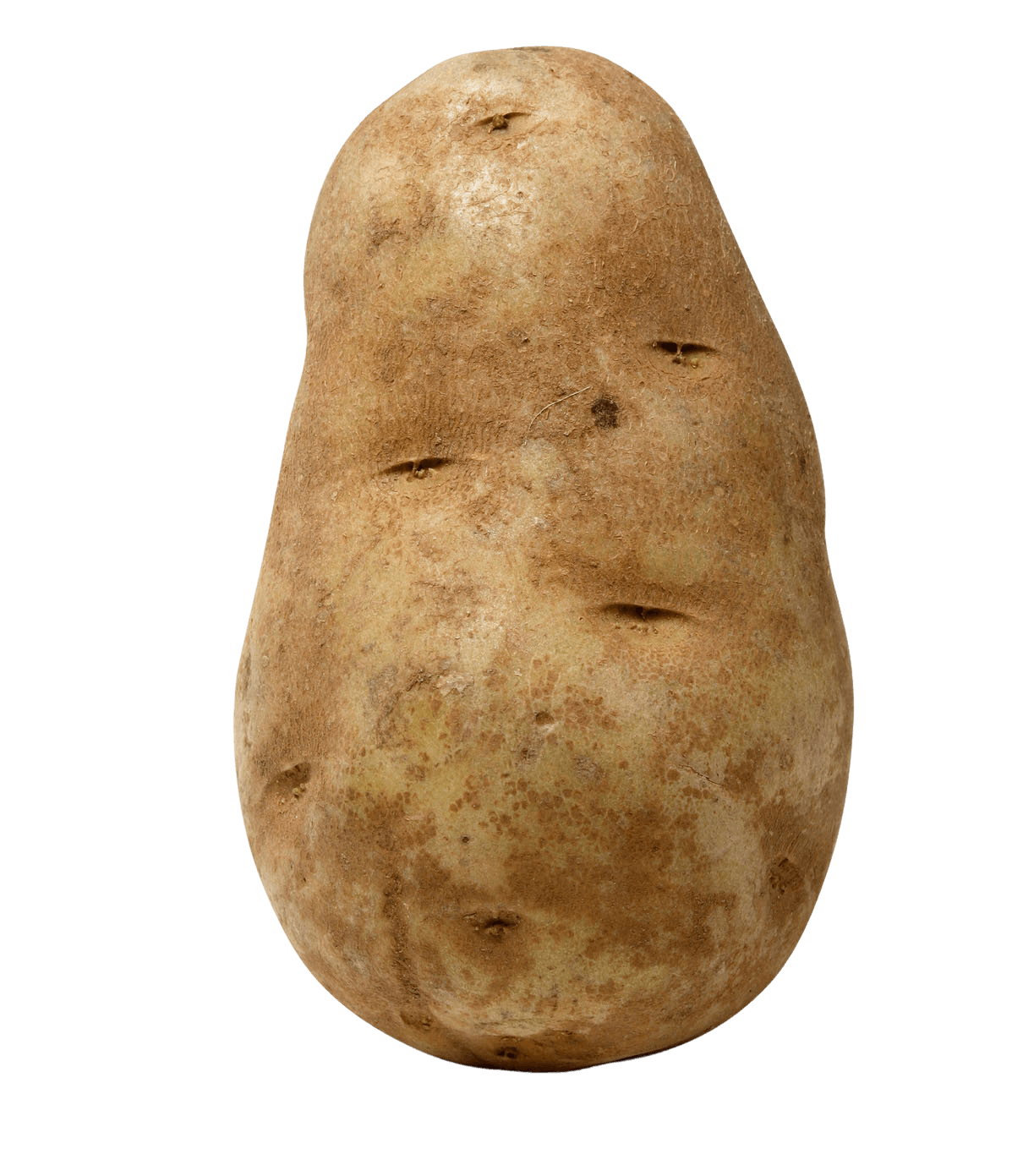 Potato