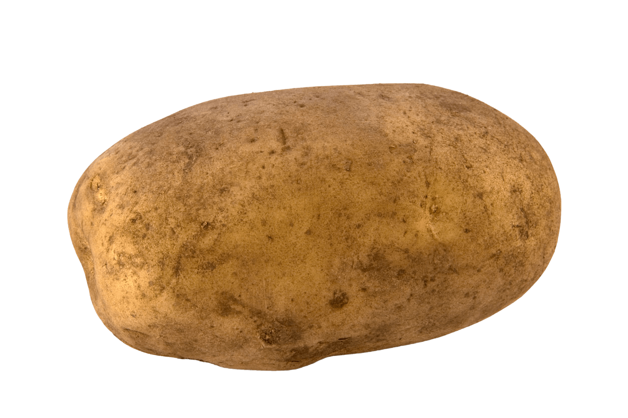 Potato