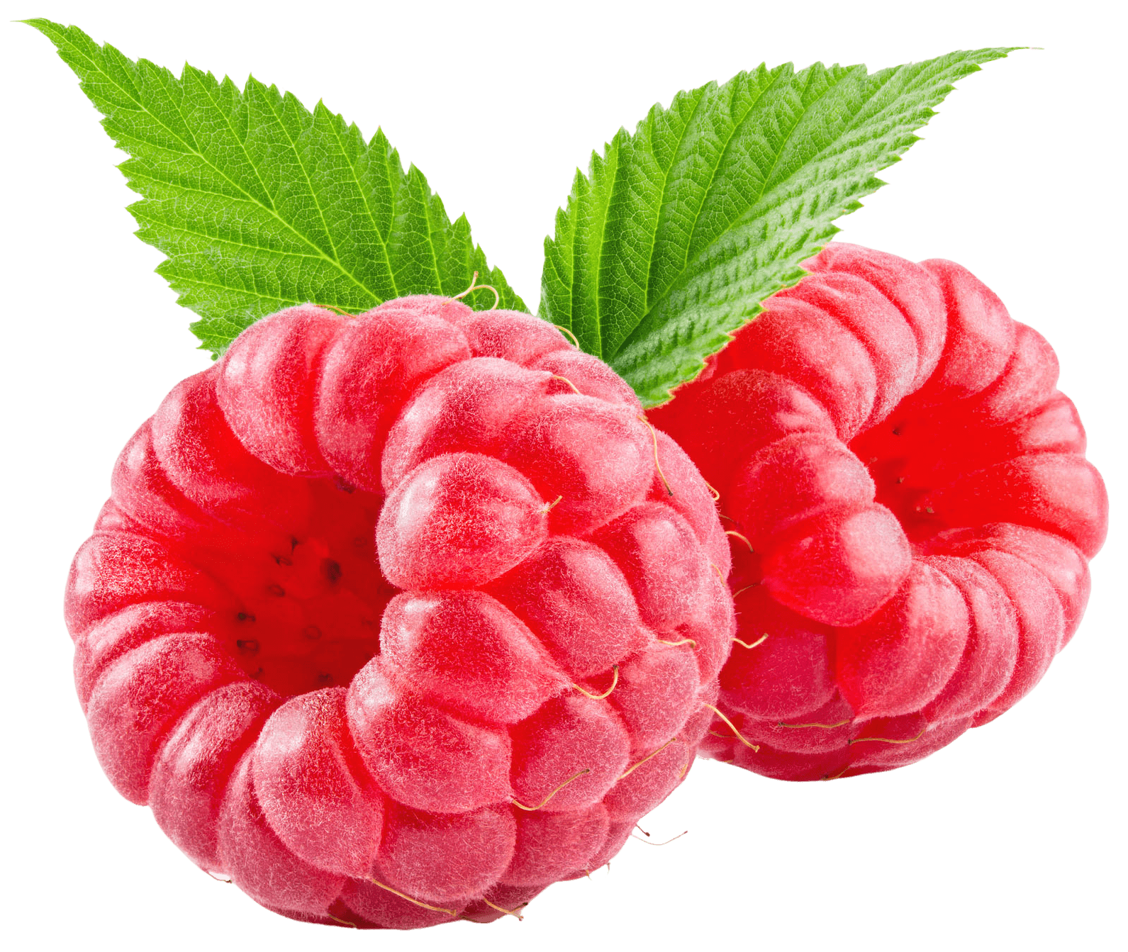 raspberries