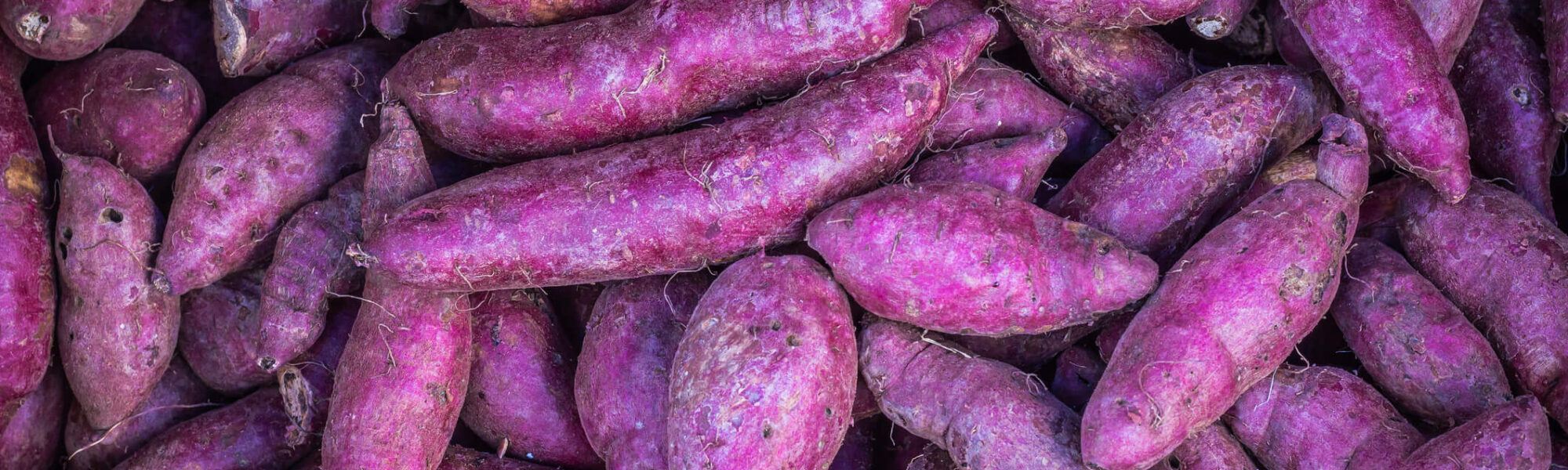 Purple sweet potatoes