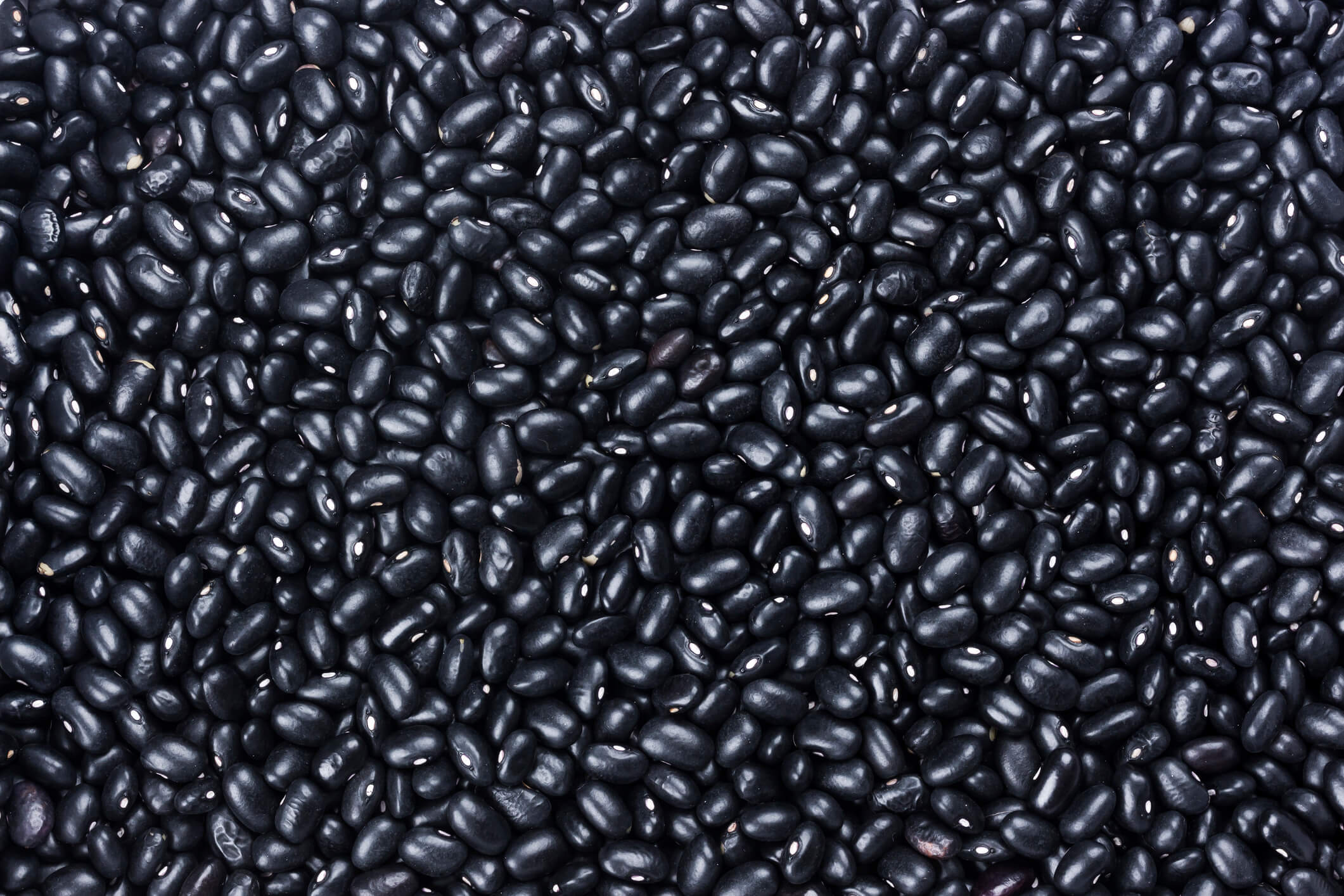 Black kidney beans