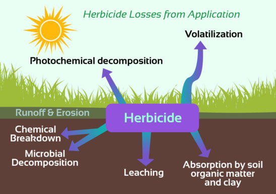 Herbicide Losses Graphic