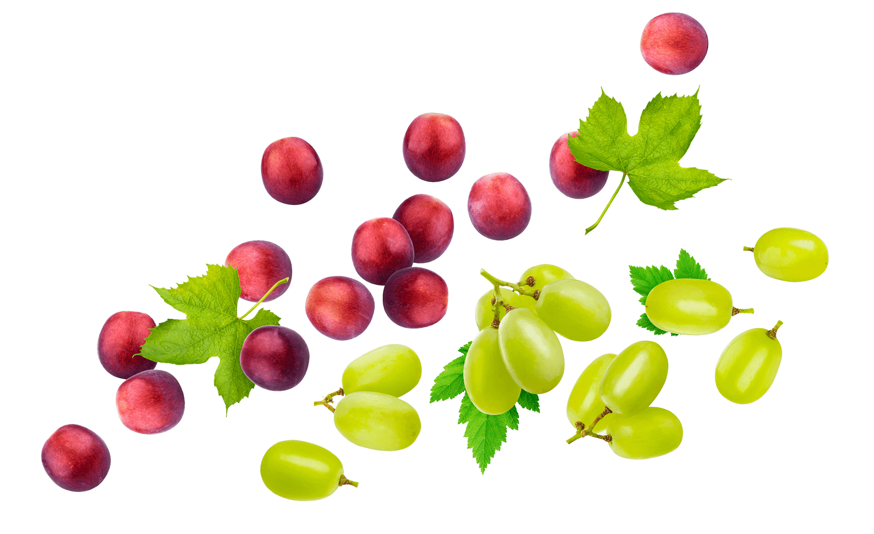 red and green grapes