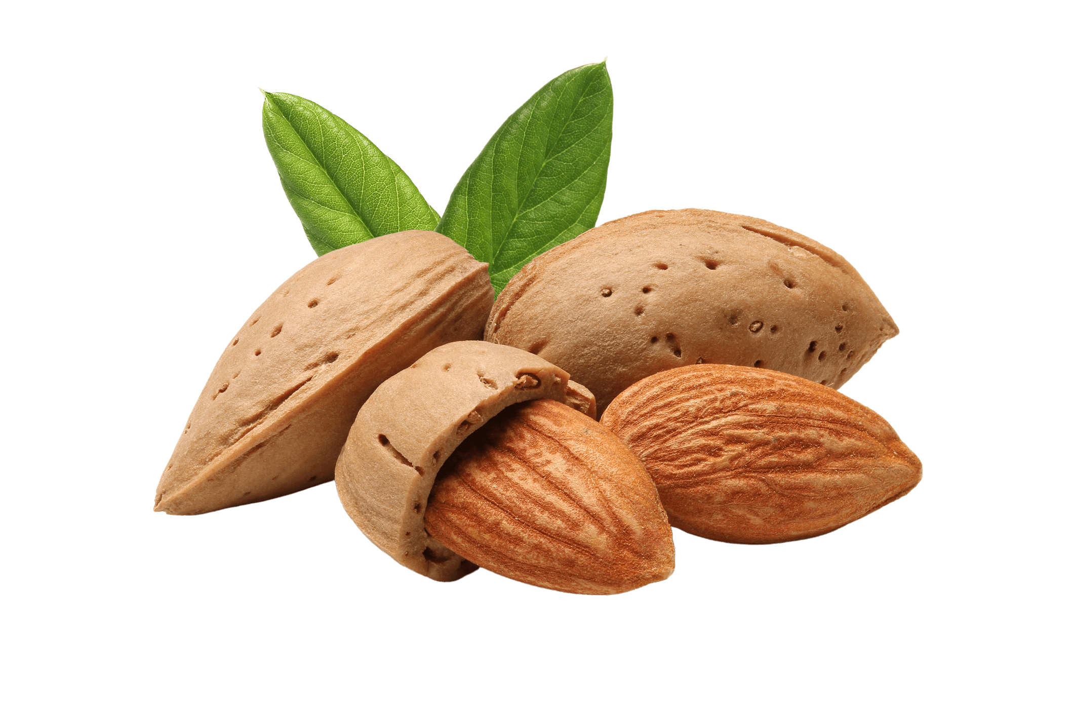 Almond