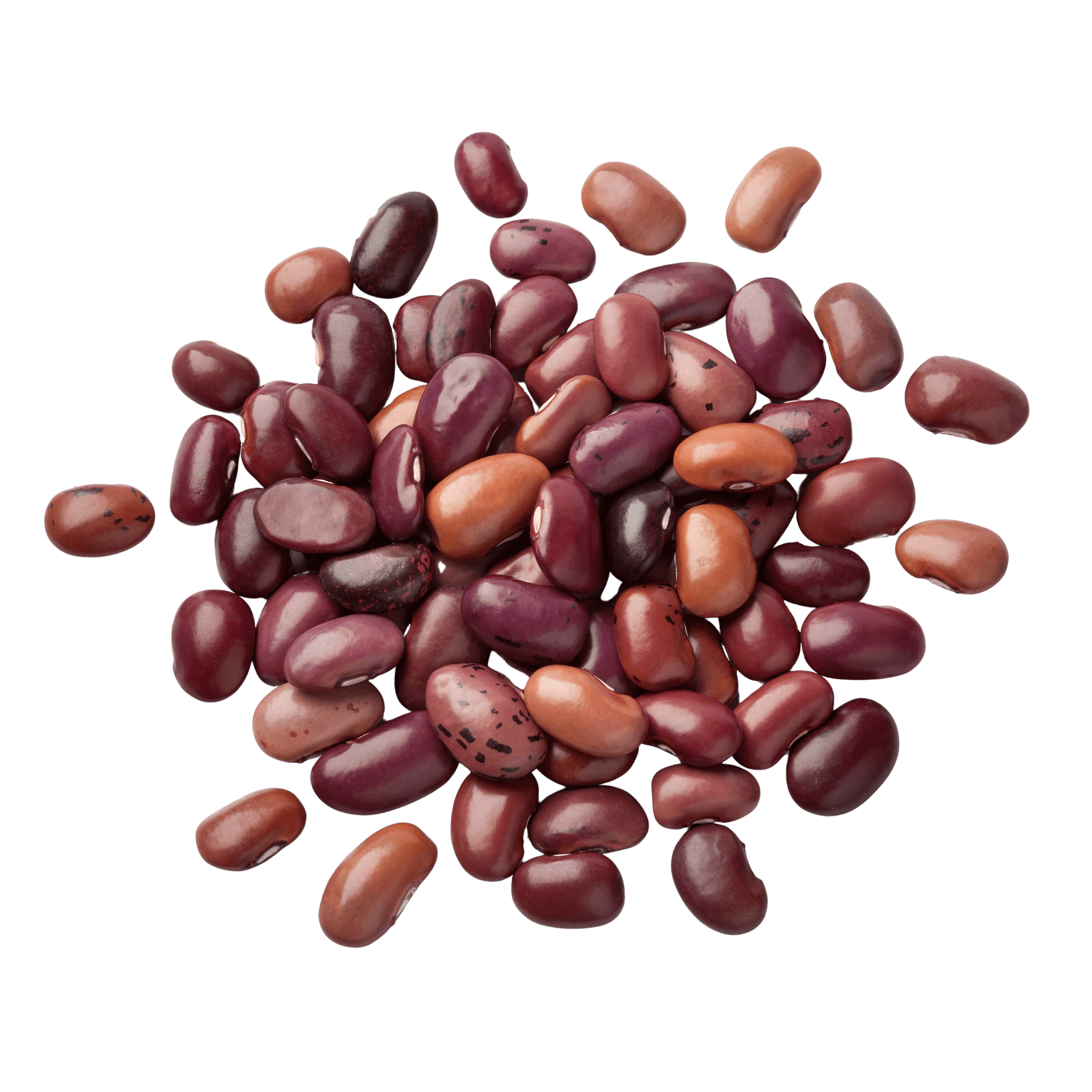 Dry beans