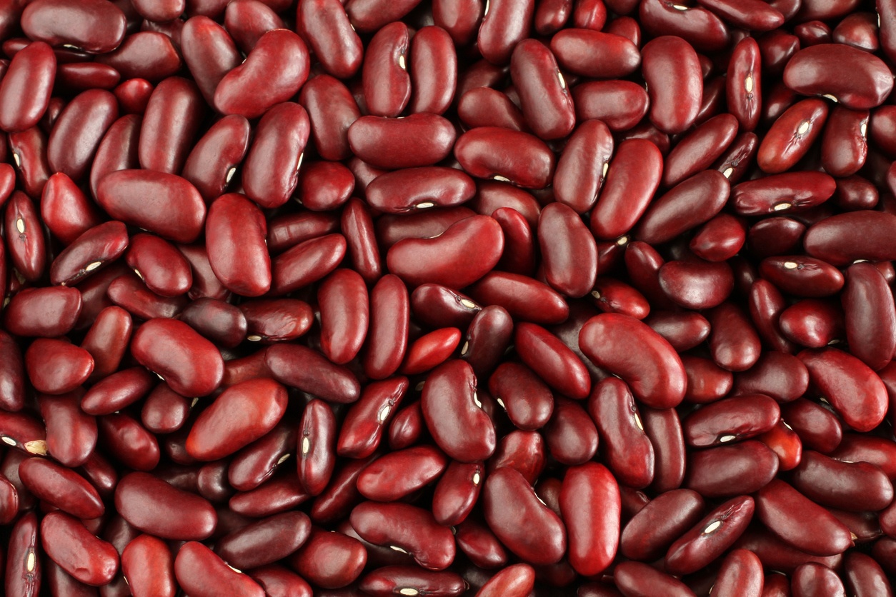 Raw Brown Kidny Beans
