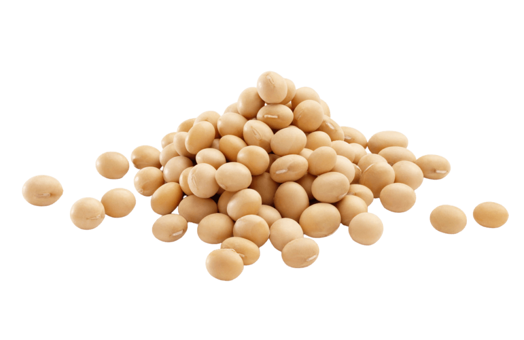 soybeans