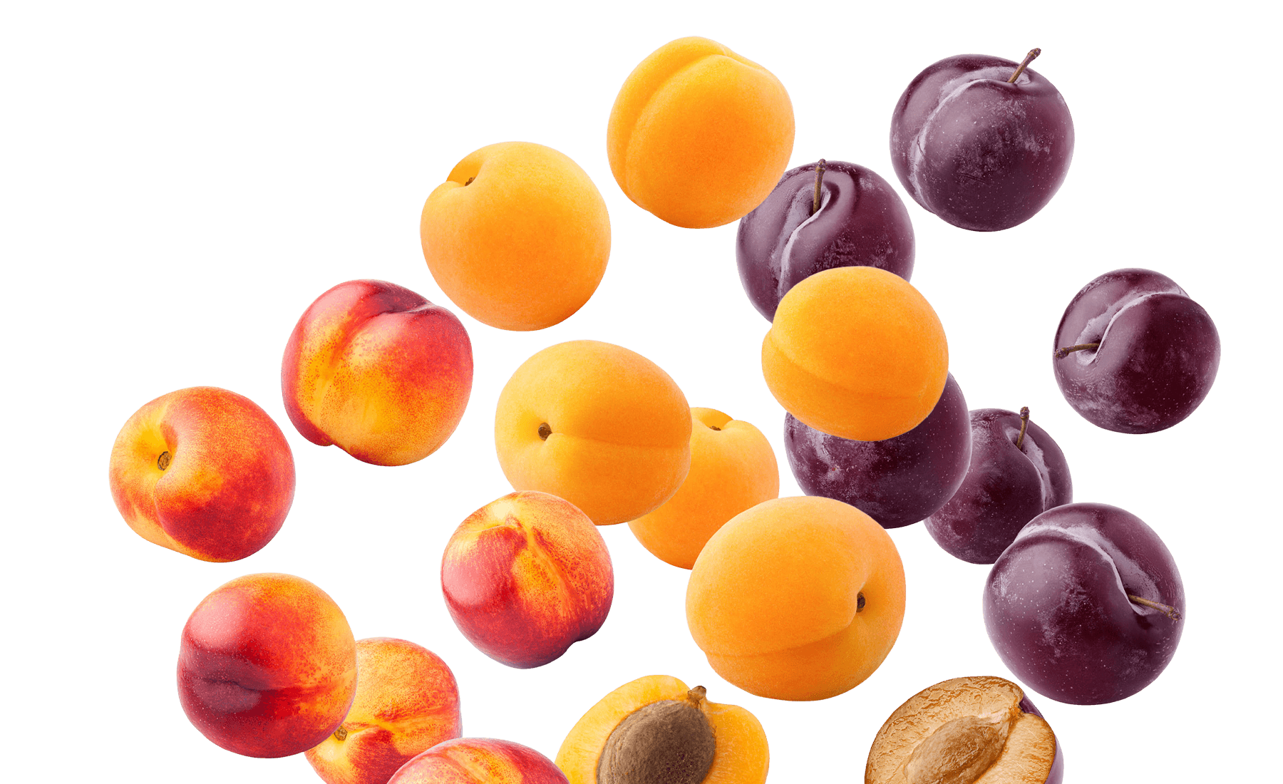 stone fruits