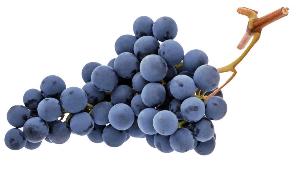 grapes