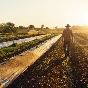 man walking on his farm