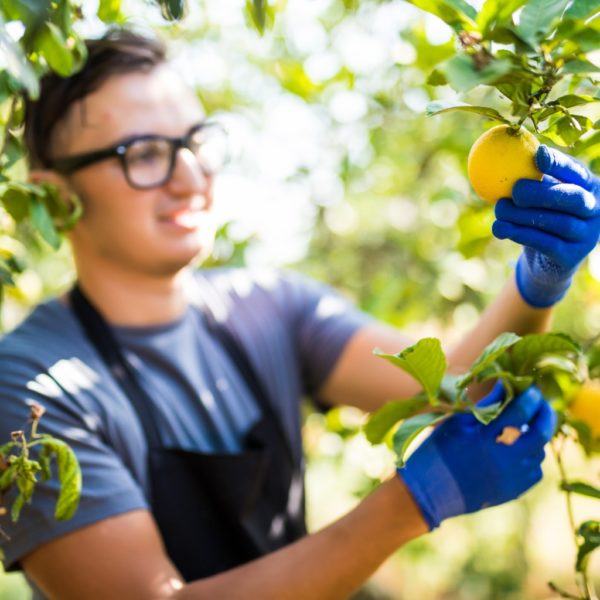 man holding a lemon