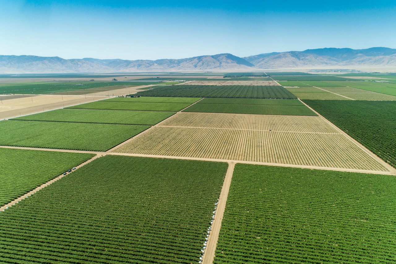 overhead view of fields