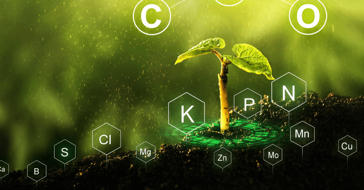 plant growth regulators