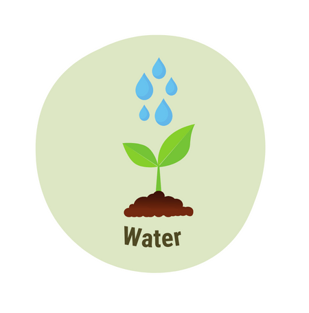 Plant growth water