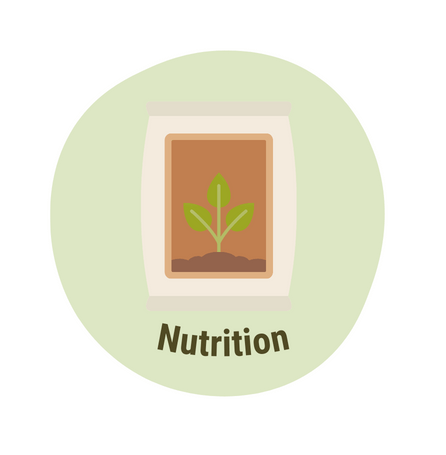 Plant growth, nutrition