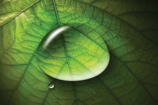 Droplet spread with Nu-Film-17®