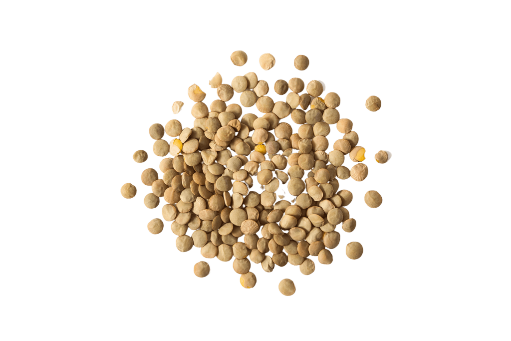 chickpeas