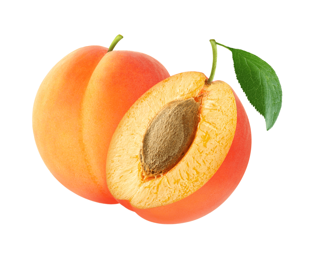 Apricot