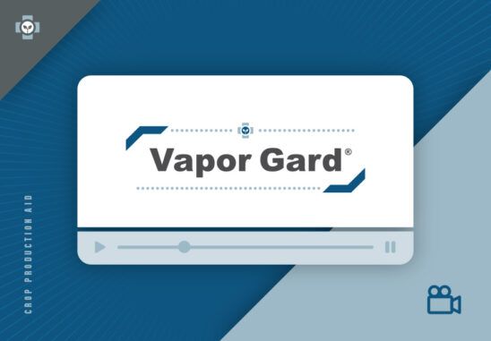 vapor ag