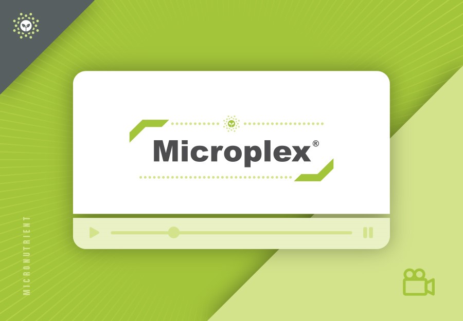 Microplex Chelated
